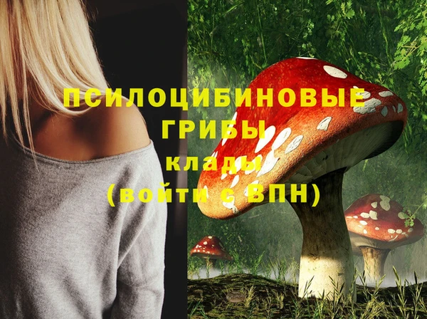 герыч Алексеевка