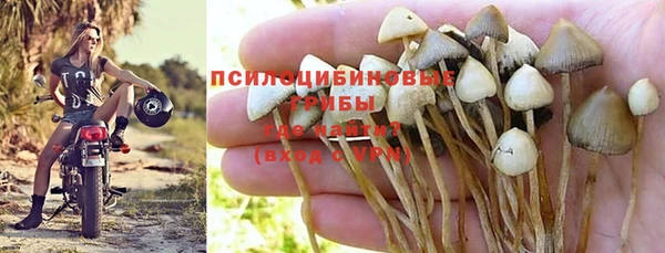 герыч Алексеевка