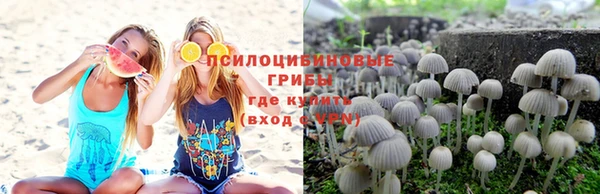 дурь Пересвет
