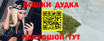 прущие крисы Кингисепп