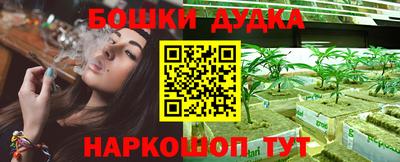 прущие крисы Кингисепп