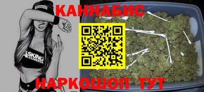 прущие крисы Кингисепп