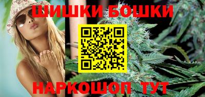 прущие крисы Кингисепп
