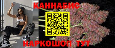прущие крисы Кингисепп