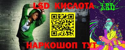 прущие крисы Кингисепп