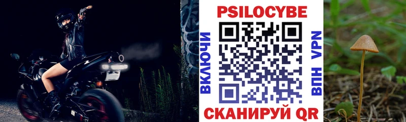 OMG онион  Миасс  Галлюциногенные грибы Psilocybe 