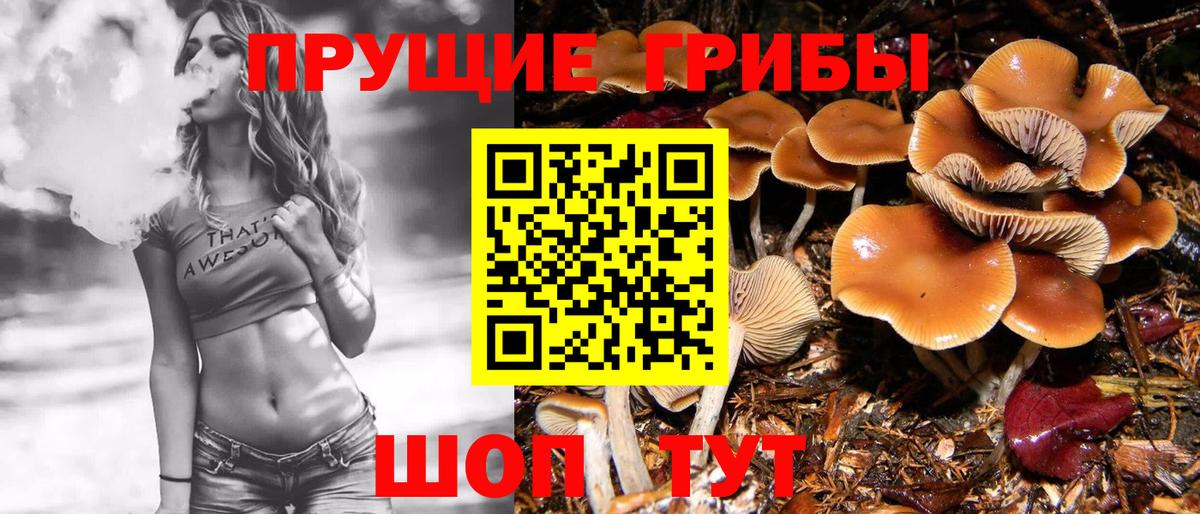 Галлюциногенные грибы Psilocybine cubensis Миасс