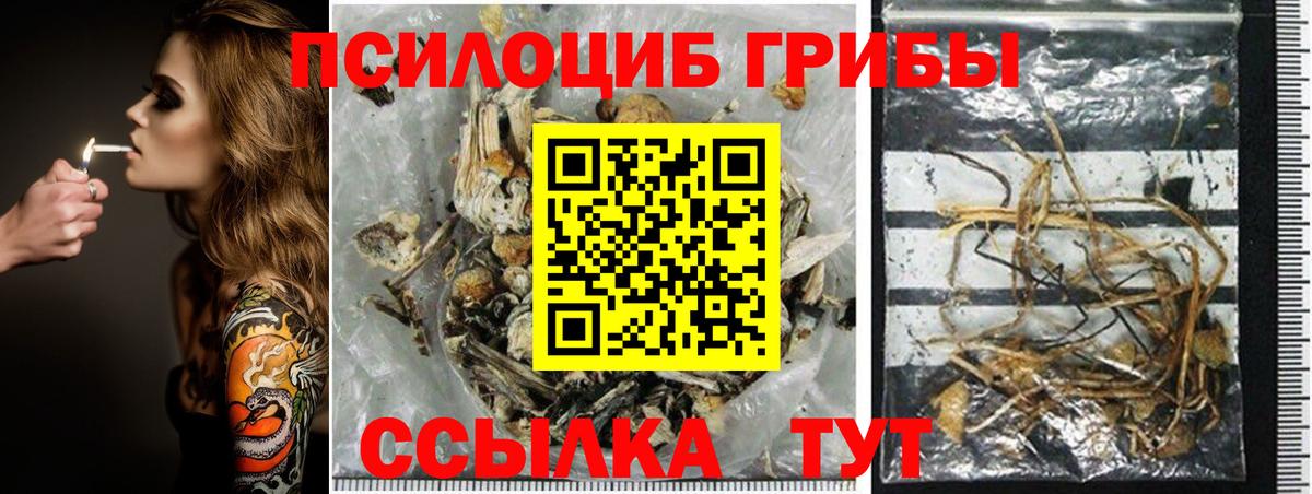 Миасс  Псилоцибиновые грибы MAGIC MUSHROOMS  Псилоцибиновые грибы Psilocybine cubensis  Вход с VPN 